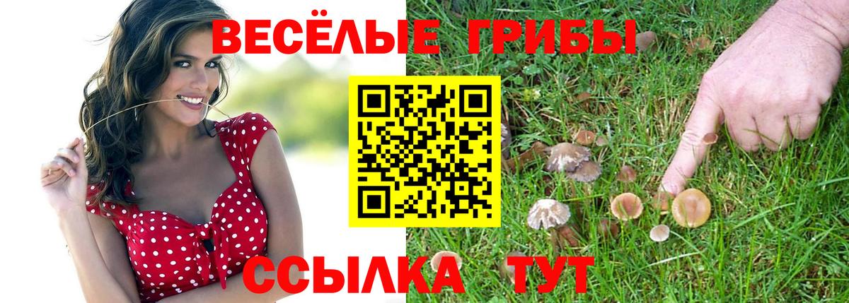 Георгиевск  Галлюциногенные грибы Psilocybine cubensis  Вход с VPN 