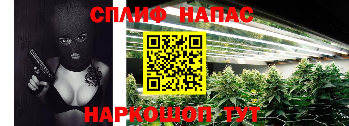 МАРИХУАНА планчик Георгиевск